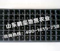 育苗盘 从实用工具到农业美学的绿色革命
