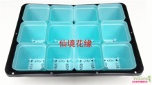 芽菜盆与育苗盘选购全攻略 最新产品参考与实用指南