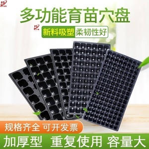育苗盘穴盘32 高效育苗的实用选择
